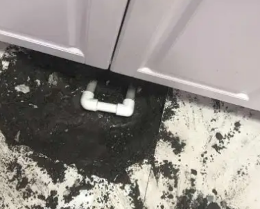 岳阳楼查漏水哪家好
