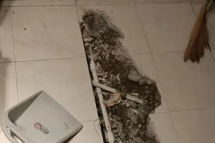 岳阳楼卫生间漏水检测电话
